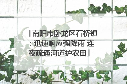南阳市卧龙区石桥镇：迅速响应强降雨 连夜疏通河道护农田