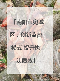 南阳市宛城区：创新监督模式 提升执法质效