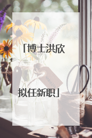 博士洪欣拟任新职