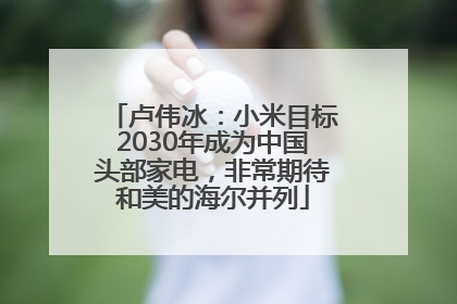 卢伟冰：小米目标2030年成为中国头部家电，非常期待和美的海尔并列