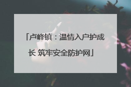 卢峰镇：温情入户护成长 筑牢安全防护网