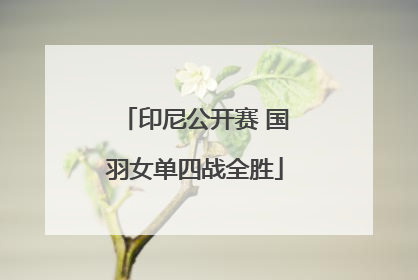 印尼公开赛 国羽女单四战全胜