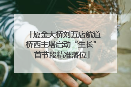 厦金大桥刘五店航道桥西主塔启动“生长” 首节段精准落位