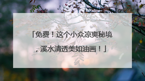 免费！这个小众凉爽秘境，溪水清透美如油画！