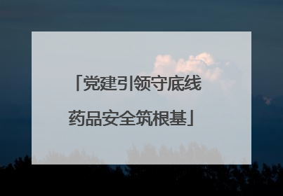 党建引领守底线 药品安全筑根基