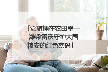 党旗插在农田里——潍柴雷沃守护大国粮安的红色密码