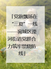党旗飘扬在“三夏”一线——宛城区溧河街道党群合力筑牢禁烧防线