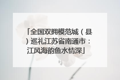 全国双拥模范城（县）巡礼江苏省南通市：江风海韵鱼水情深
