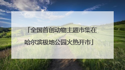 全国首创动物主题市集在哈尔滨极地公园火热开市