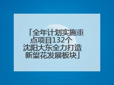 全年计划实施重点项目132个 沈阳大东全力打造新望花发展板块
