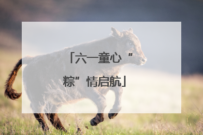 六一童心“粽”情启航