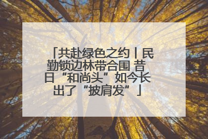 共赴绿色之约丨民勤锁边林带合围 昔日“和尚头”如今长出了“披肩发”