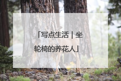写点生活｜坐轮椅的养花人