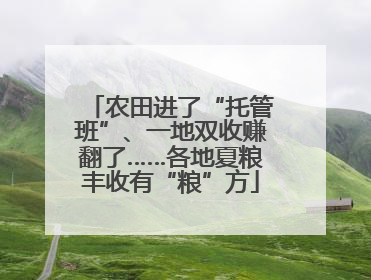 农田进了“托管班”、一地双收赚翻了……各地夏粮丰收有“粮”方
