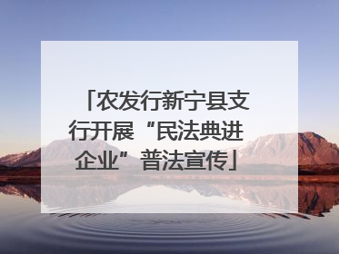 农发行新宁县支行开展“民法典进企业”普法宣传