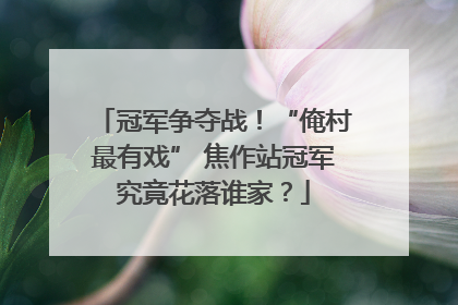 冠军争夺战！“俺村最有戏” 焦作站冠军究竟花落谁家？