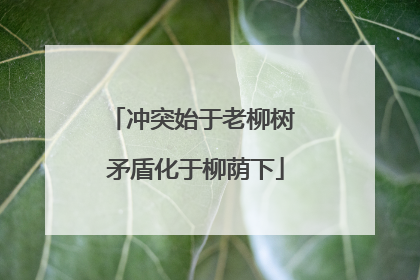 冲突始于老柳树 矛盾化于柳荫下