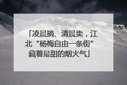 凌晨摘、清晨卖，江北“杨梅自由一条街”藏着最甜的烟火气