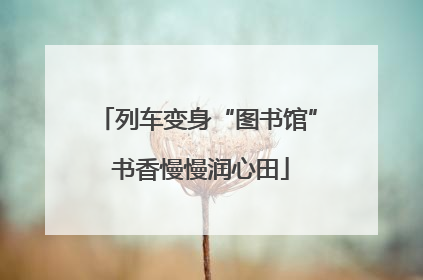 列车变身“图书馆” 书香慢慢润心田