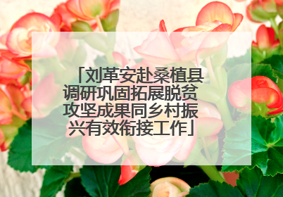 刘革安赴桑植县调研巩固拓展脱贫攻坚成果同乡村振兴有效衔接工作