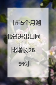 前5个月湖北省进出口同比增长26.9%