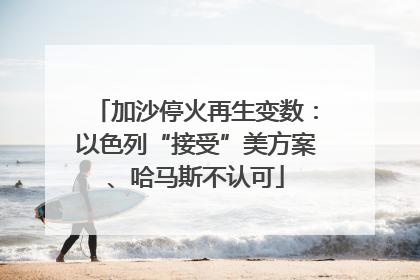 加沙停火再生变数：以色列“接受”美方案、哈马斯不认可