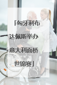 匈牙利布达佩斯举办意大利面桥世锦赛