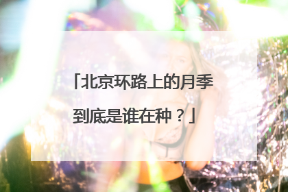 北京环路上的月季到底是谁在种？