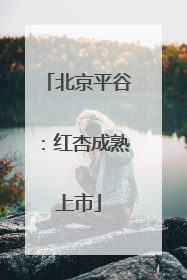 北京平谷：红杏成熟上市