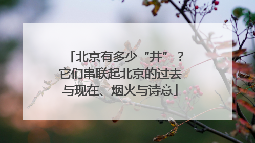 北京有多少“井”？它们串联起北京的过去与现在、烟火与诗意