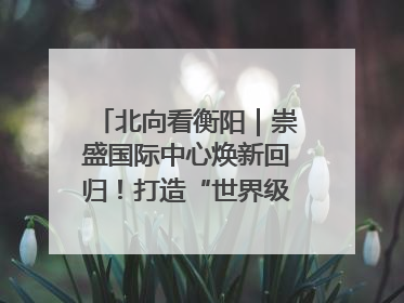 北向看衡阳｜崇盛国际中心焕新回归！打造“世界级美食主题公园”
