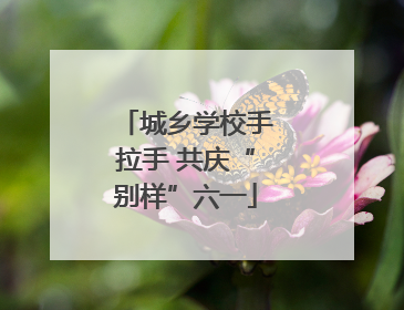 城乡学校手拉手 共庆“别样”六一