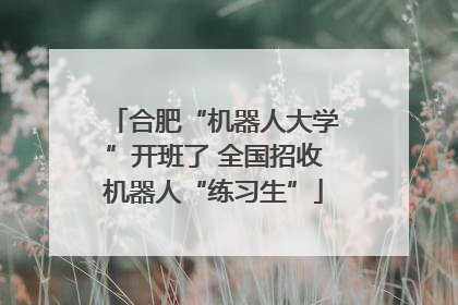 合肥“机器人大学”开班了 全国招收机器人“练习生”