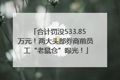 合计罚没533.85万元！两大头部券商前员工“老鼠仓”曝光！