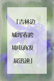 吉林边城珲春跨境电商发展迅速