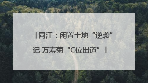 同江：闲置土地“逆袭”记 万寿菊“C位出道”