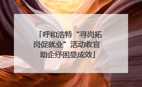 呼和浩特“寻岗拓岗促就业”活动收官 助企纾困显成效