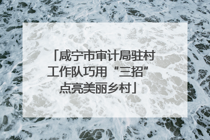 咸宁市审计局驻村工作队巧用“三招”点亮美丽乡村