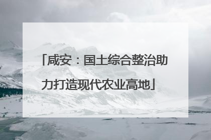 咸安：国土综合整治助力打造现代农业高地