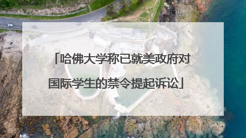 哈佛大学称已就美政府对国际学生的禁令提起诉讼