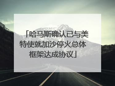 哈马斯确认已与美特使就加沙停火总体框架达成协议