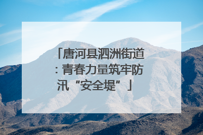 唐河县泗洲街道：青春力量筑牢防汛“安全堤”