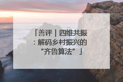 善评｜四维共振：解码乡村振兴的“齐鲁算法”