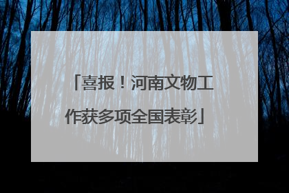 喜报！河南文物工作获多项全国表彰