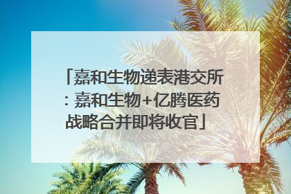 嘉和生物递表港交所：嘉和生物+亿腾医药战略合并即将收官