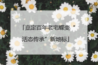 嘉定百年老宅蝶变“活态传承”新地标