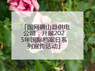 国网确山县供电公司：开展2025年国际档案日系列宣传活动