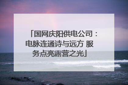 国网庆阳供电公司：电脉连通诗与远方 服务点亮露营之光