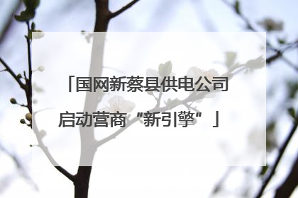 国网新蔡县供电公司启动营商“新引擎”
