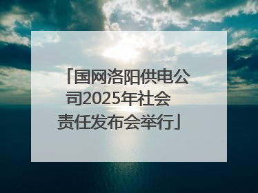 国网洛阳供电公司2025年社会责任发布会举行
